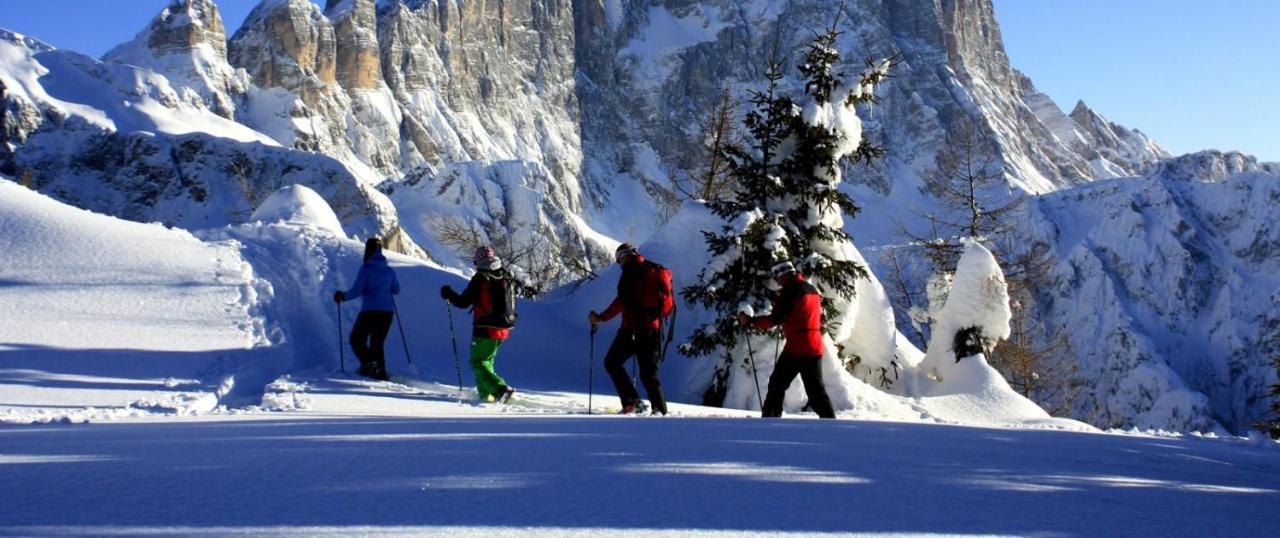 Petit Arnica Lejlighed Selva di Cadore Eksteriør billede